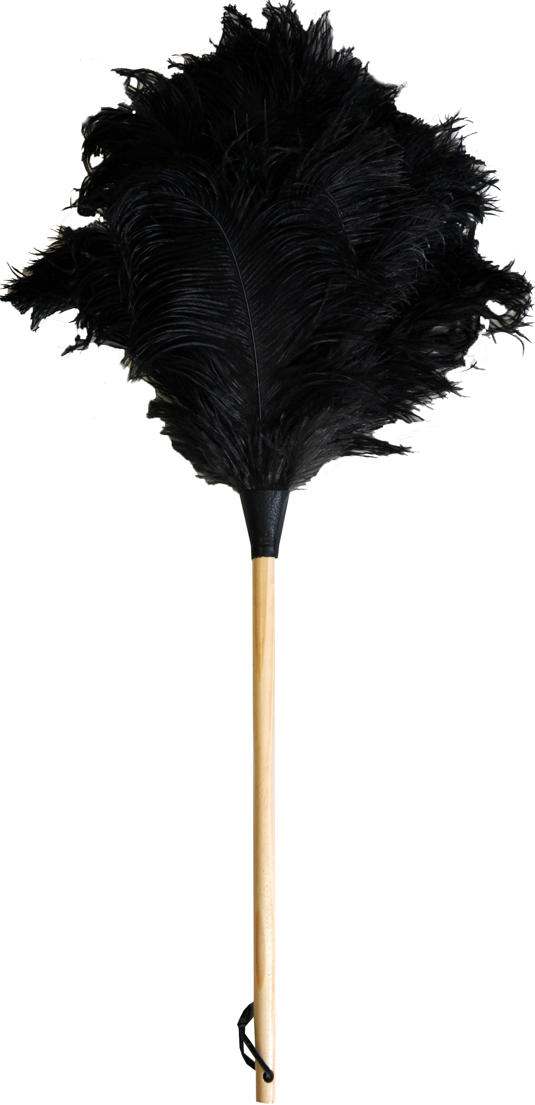 Long Handled Feather Duster