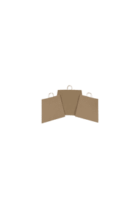 Large Twisted Handle Paper Carrier Bag